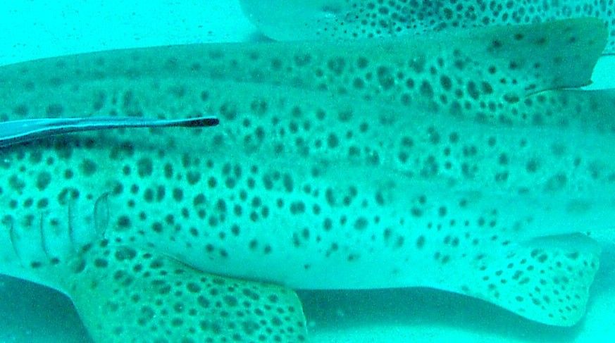 634e810f-d55b-49f4-bf8e-745b092b7b6d