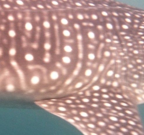 78fd82ac-9323-475e-bd8c-2ff3b8357dcc