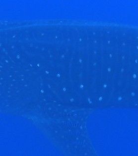 49da0d11-0e53-4134-8ffe-b3b37c1a6d10