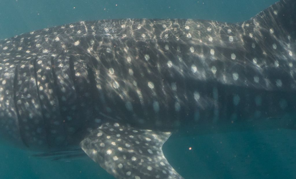 f29be596-052b-4467-93d4-974586a74267