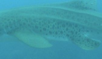 411dba64-e6ef-40b2-abfd-98569705f102