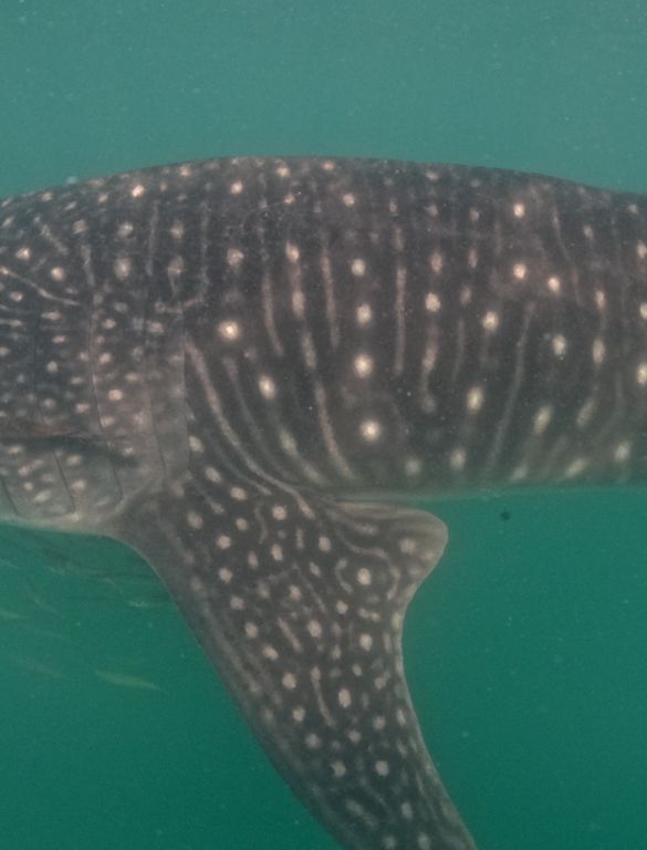 dbe93bc6-9205-4f59-ab18-f30e70d2b15e