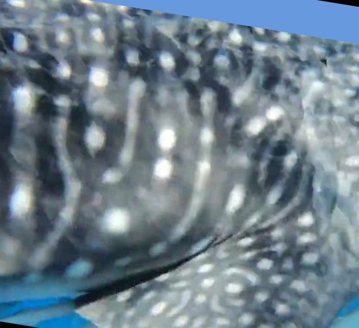 d4fb3fdf-35ec-464e-be85-0bbc6b8c8ac1