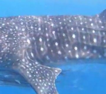 d4fb3fdf-35ec-464e-be85-0bbc6b8c8ac1