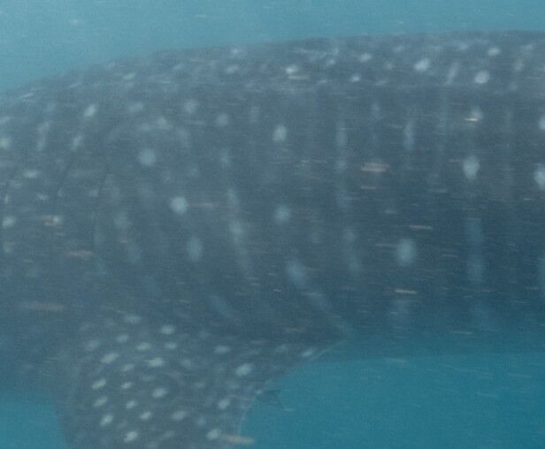 c4841e36-fffa-412f-bfc5-052cd17b7afd