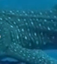 fe9da9df-9341-4121-95e0-7bc6cc4badc5