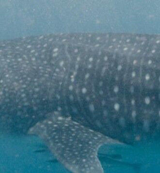 50020b70-60e5-4b21-8f04-3d3fa822ab0d