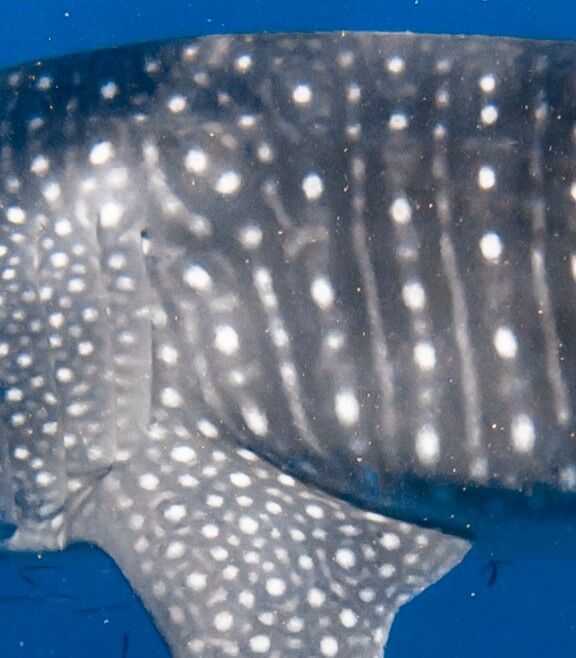 d6e5c1d0-e76a-421b-80ea-ee8bc2f380d4