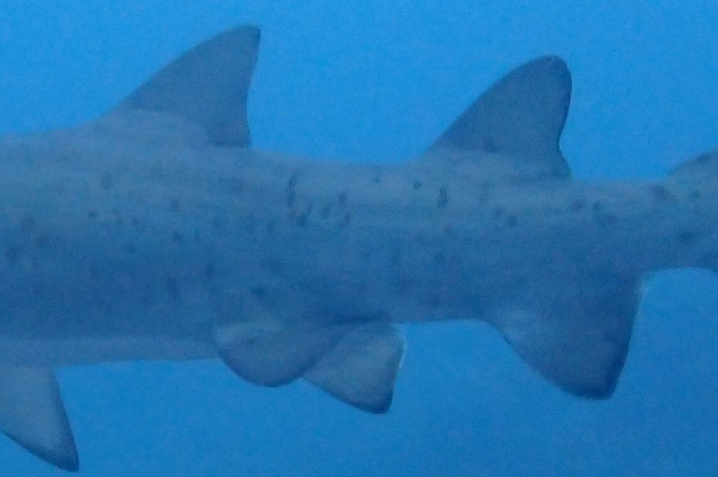 b93f6d89-ab78-48b1-85cd-6fa28f205f7c