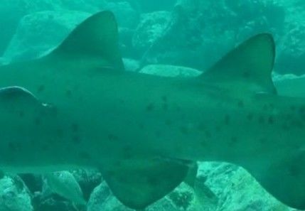 9fe1aba2-0088-4e3d-9ac4-88bd0d54c806