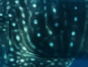 73b01ea5-3b97-4a66-a8c5-aa6cddb929c1