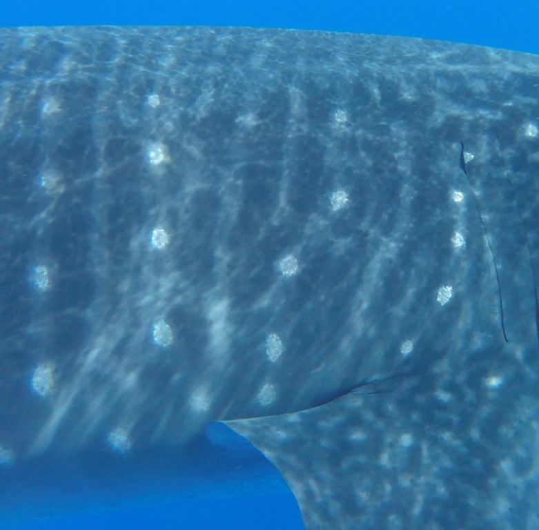 4fe03ea6-fb80-400b-bfb3-11e07c10e11a