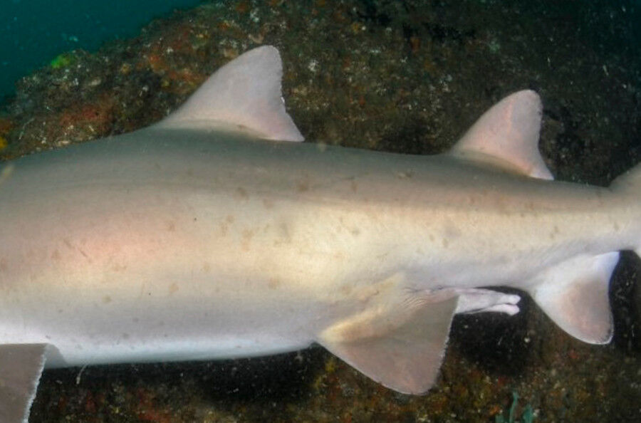 1331fea0-a09c-40c1-ba11-154bad19fcd2