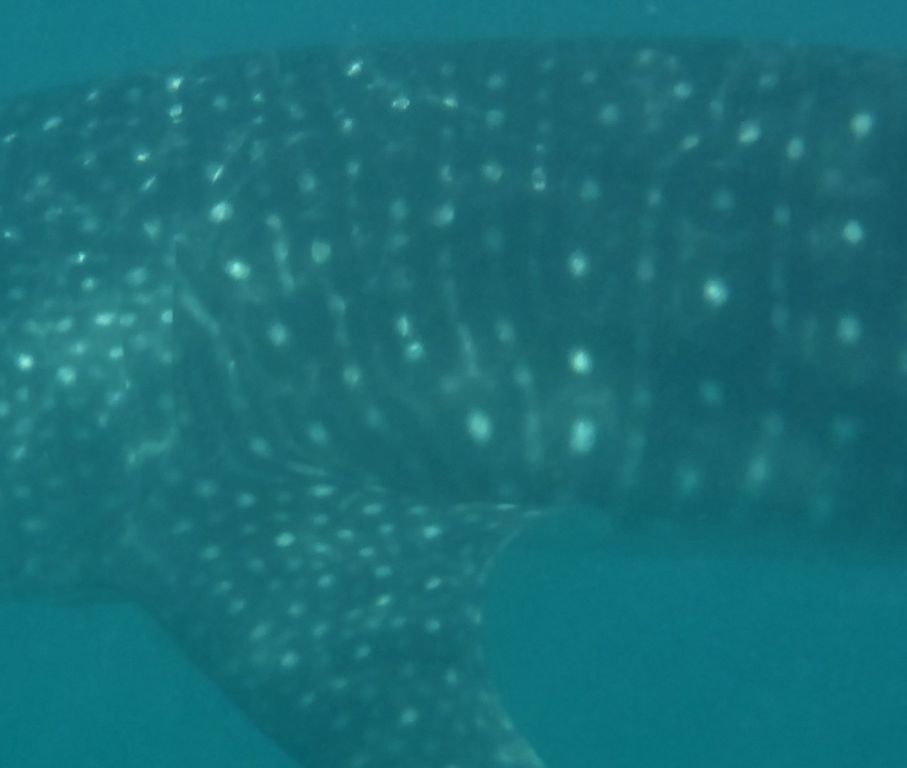 55d54fc1-c88e-4e0a-9b61-fec900d3896d