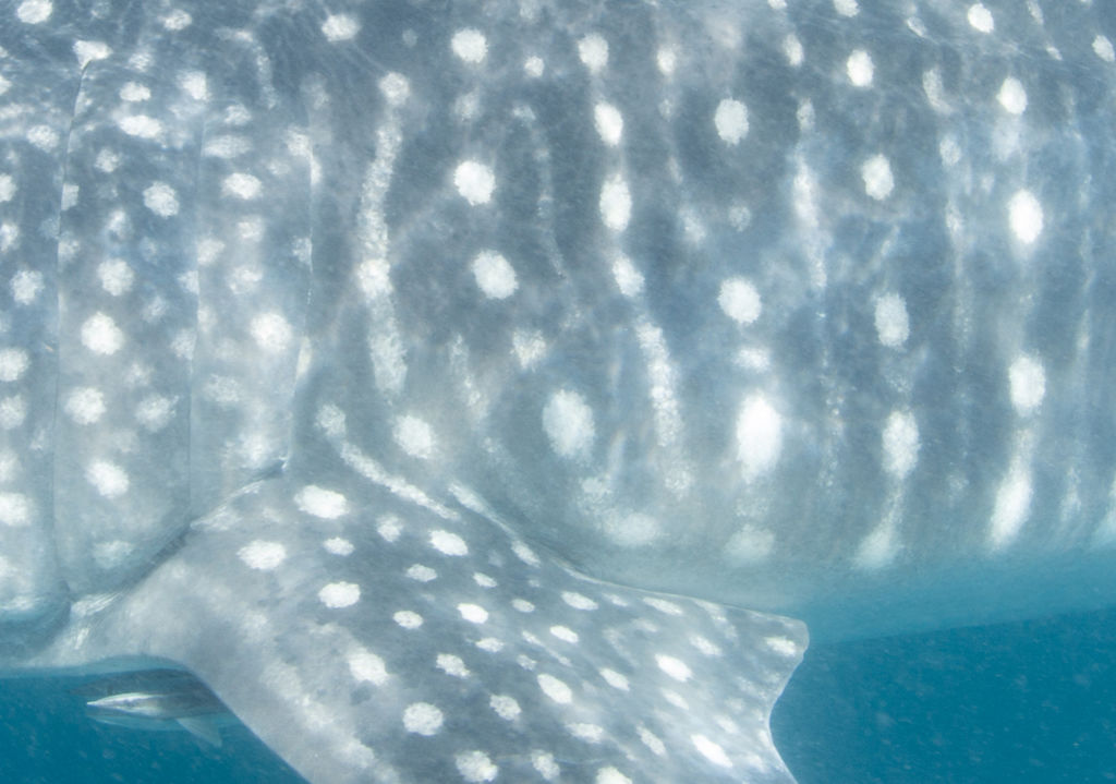 003374e7-8e15-4a60-ae26-e06298f7f0af