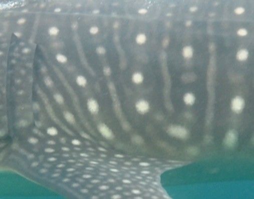 5f929311-0386-4963-a65c-8472ce6a2a3f