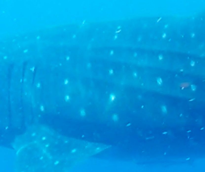 05faa319-8be9-49c5-9465-25a4564249be