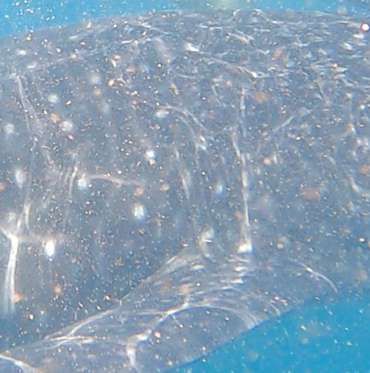 76c1508a-0510-470a-871e-10c0e1900812