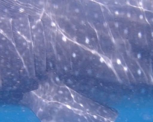 76c1508a-0510-470a-871e-10c0e1900812