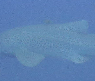 0028c519-65c2-4da1-ac46-49b0c1b58b65