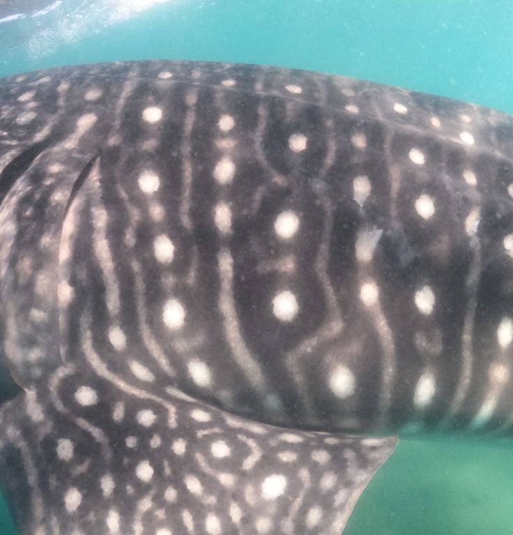 79cfad13-f19a-4cbc-8fb8-df097501d124