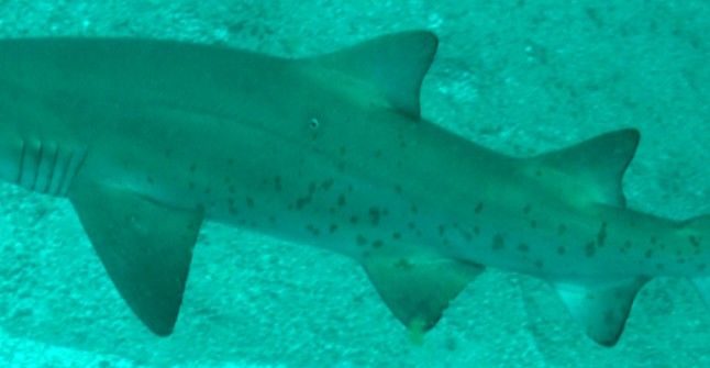 14b66bc2-e479-4390-98ba-12a995090037