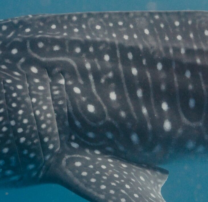 ae43bc7d-4696-46ef-835e-ea5b69c695a6