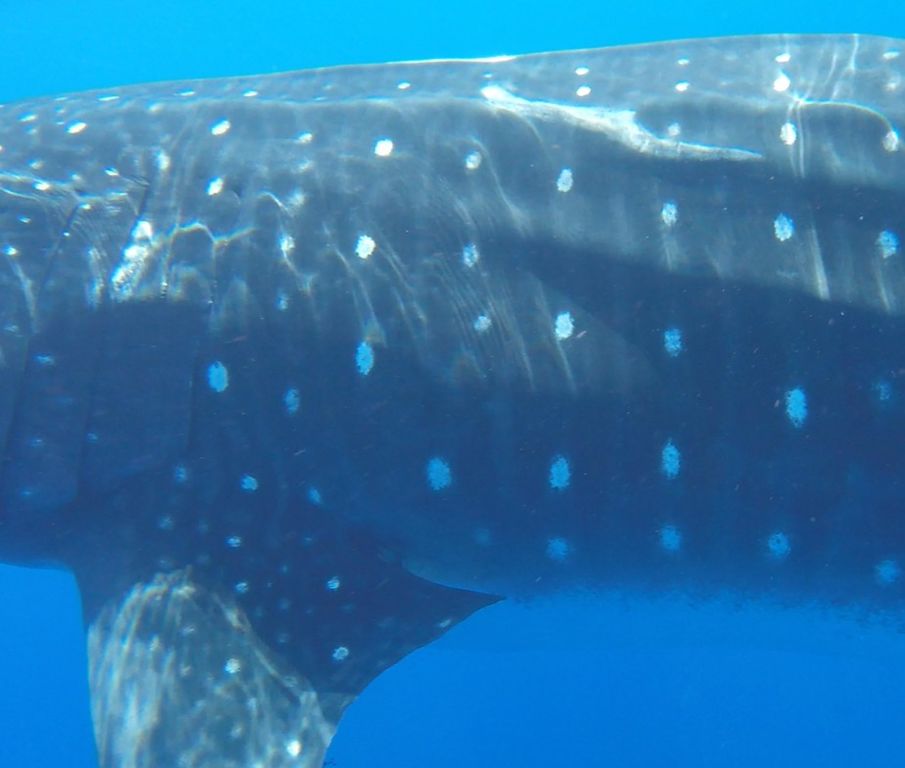 0a62228c-d59f-4f85-a9fb-50ac32cd5310