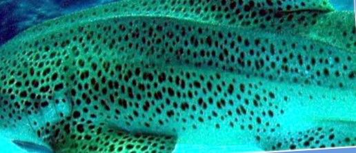 27086bbc-41e7-4b65-a3de-3438f0887c16