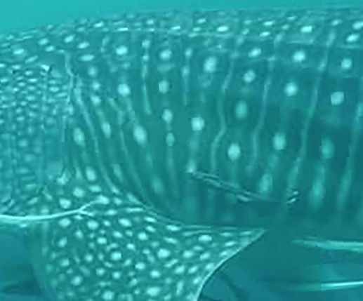 2a8c1392-6031-44fa-85d9-c6150fe811b4