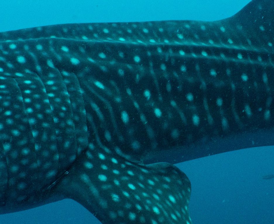 7243cfe9-6e07-45c1-bd87-ff5cc69622c7