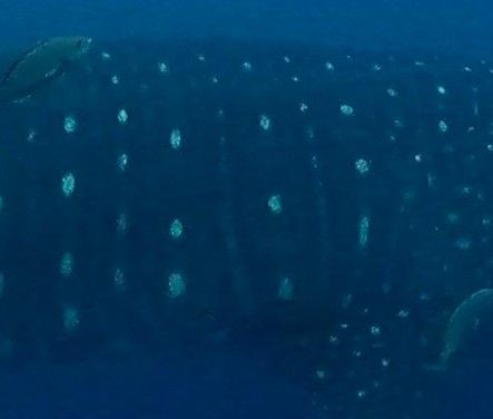 e3256740-ead9-46c3-9855-c7499bf1f435