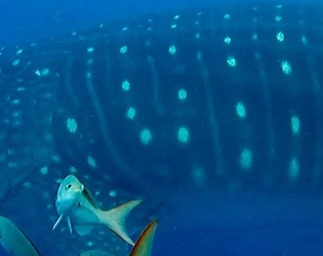 e3256740-ead9-46c3-9855-c7499bf1f435