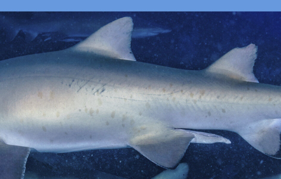 e2b0c95f-af13-478d-a864-b9a9a34bb89d