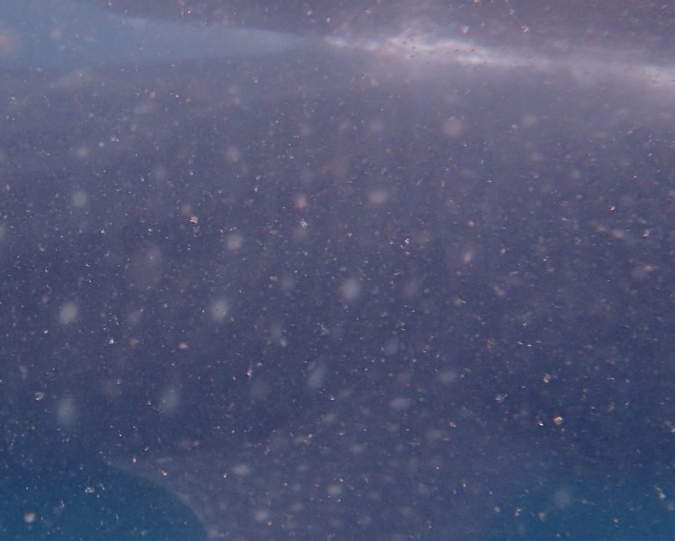 5dc1fc55-0bb7-434b-b9ca-0f1db11785ac