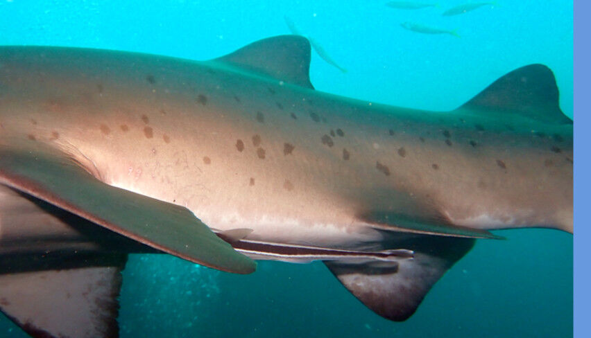 effa4ee7-a02a-4cc7-a6b9-48433957aa21