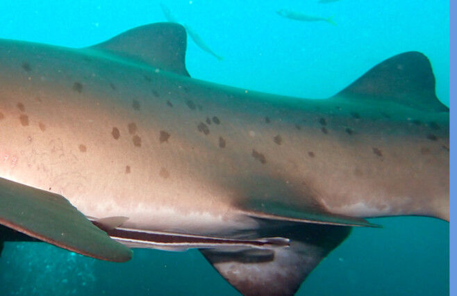 effa4ee7-a02a-4cc7-a6b9-48433957aa21