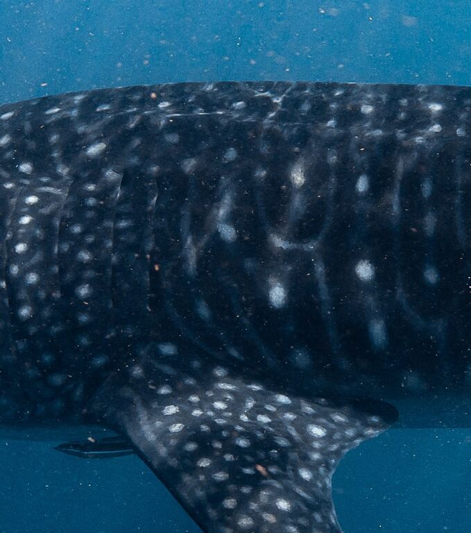 3da6b70d-b913-43ff-b83c-720cca9fafe2