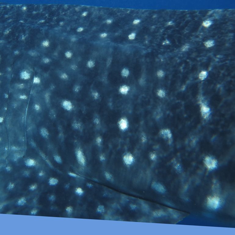 02a12010-8d8e-45db-9df3-70671ead74f5