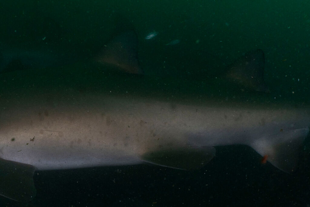 fb50d054-7ec6-47fc-ac58-ceb050860f92