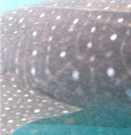 8286653a-420d-4eb4-8d93-0968f4b48fa7