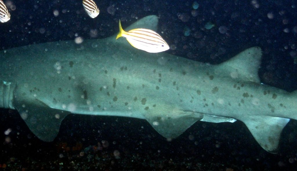 47b4e9bc-e6e3-4f96-bdf8-6d6f98eb084b