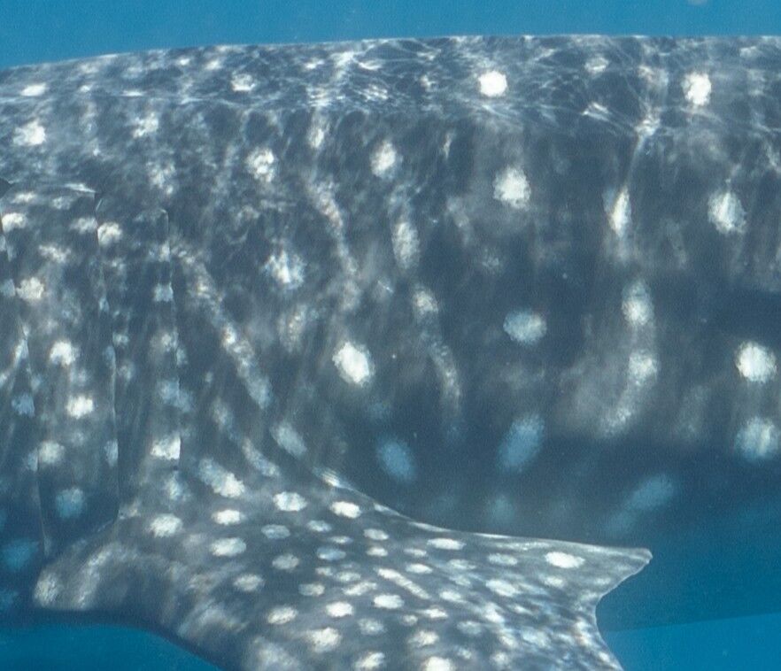 0a6b49a8-1017-4996-a57d-718742b3a7f5