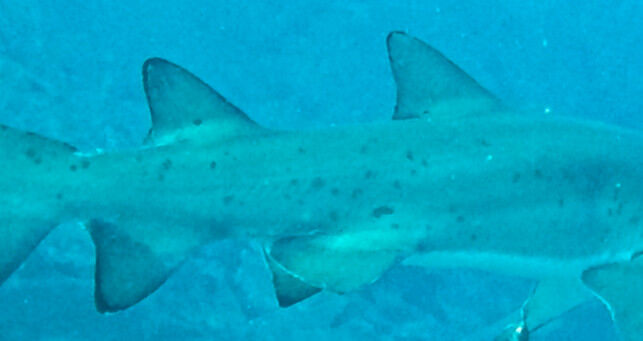 048d6636-d838-401b-9dba-44c3d76cb261