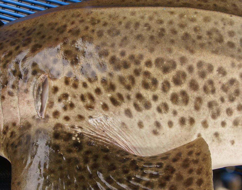 b7942a06-f83e-45c3-bae6-8eec8d643b3b