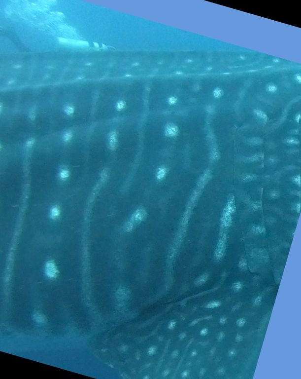 bcb9a826-9d36-441a-9b64-1c5eb8c99363