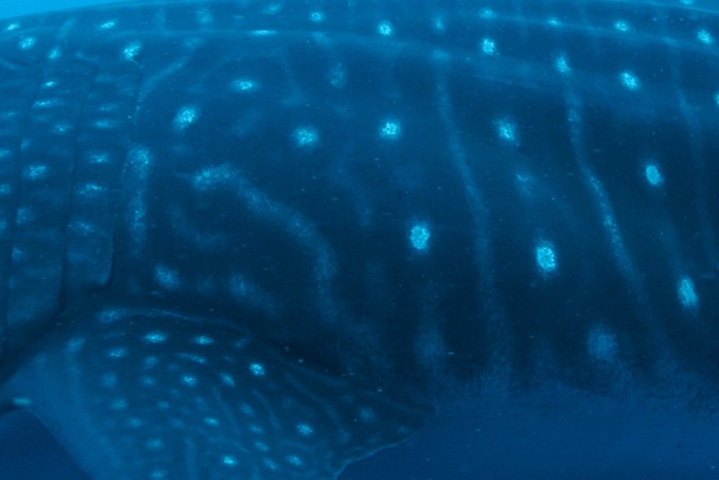 bcb9a826-9d36-441a-9b64-1c5eb8c99363