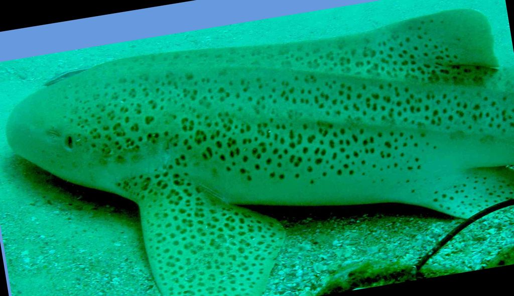 f8ddb3a7-8377-44be-85e0-104ffdab8fd7