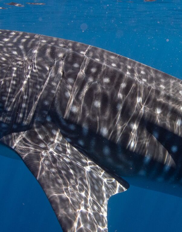 d957a122-a049-4273-9e0e-96ac9628001a