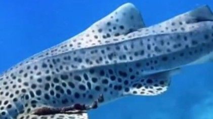 a777b422-1623-4e49-aa73-2398502323d7